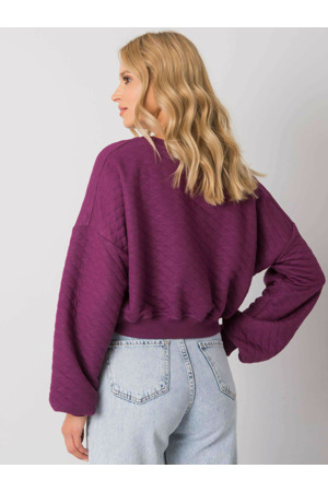 Mikina RV BL 7450.64 tmavě fialová