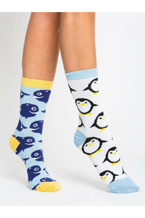 Ponožky WS SR 5542.08X vícebarevné