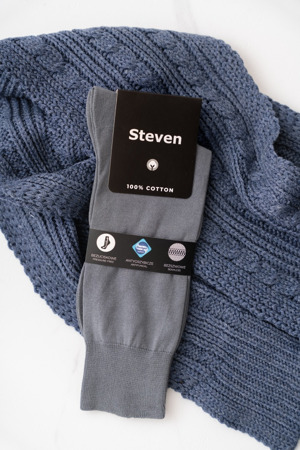 Pánské ponožky 100 % Bavlna 042