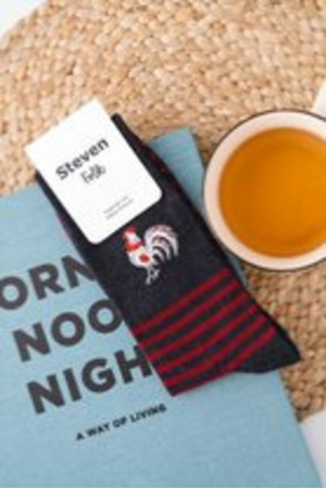 Pánské ponožky FOLK 118