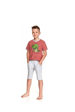 Dětské pyžamo Taro Alan 2215