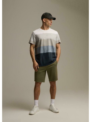 Diverse Triko pánské BRAWLY XIV