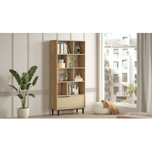 ASIR Knihovna ON4, dub