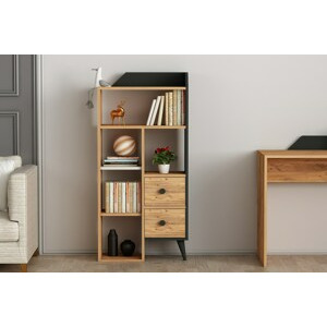 ASIR Knihovna STAR borovice atlantic černá