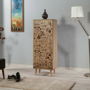 ASIR Botník FILINTA 731 dub sonoma