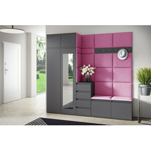 Eka Předsíňová stěna s čalouněnými panely Trinity 33 - Grafit / Růžová 2310