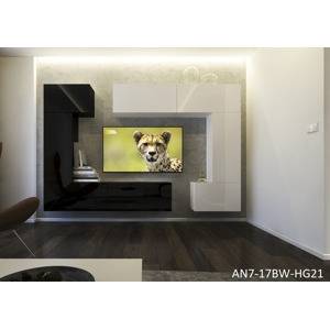 Ral Obývací stěna NELA 5, 272 cm - Bílo/černý lesk