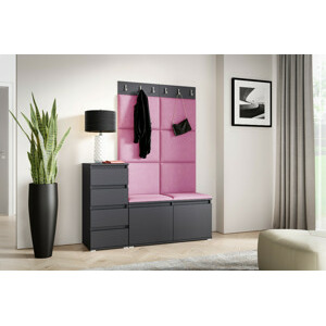 Eka Předsíňová stěna s čalouněnými panely Trinity 34 - Grafit / Růžová 2310