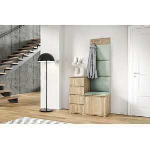 Eka Předsíňová stěna s čalouněnými panely Trinity 36 - Sonoma / Světlá zelená 2321