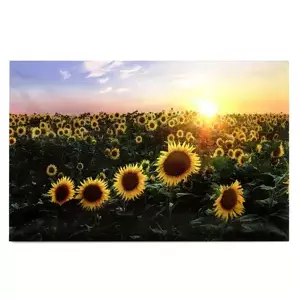 Autronic Obrázek BD560