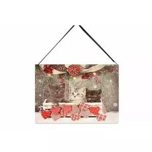 Autronic Obraz BD630