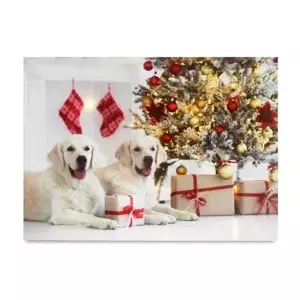 Autronic Obraz BD586