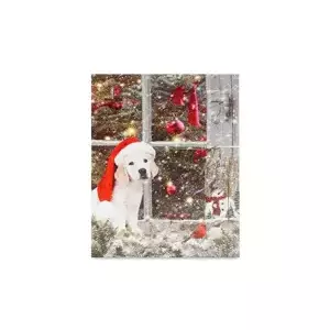 Autronic Obraz BD578