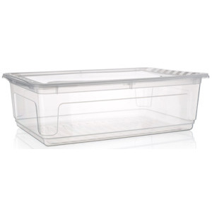 Úložný box Bea 30 l, průhledný