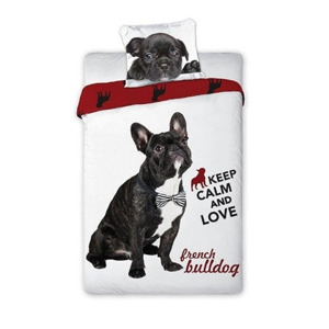 Faro Bavlněné povlečení Best Friends 004 - 140x200 cm