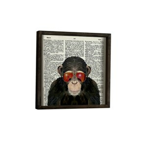 Wallity Nástěnný obraz Monkey 34x34 cm I