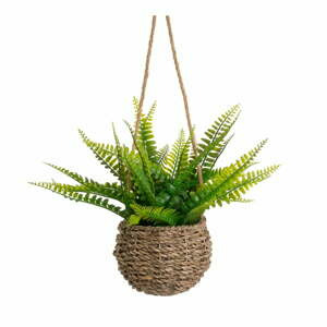 Umělá kapradina (výška 25 cm) – Casa Selección