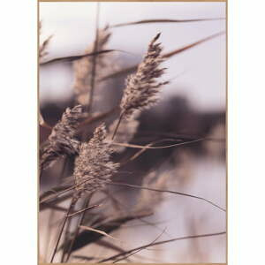 Obraz 50x70 cm Mellow Grasses 3 – Malerifabrikken