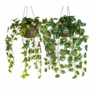 Umělé rostliny v sadě 2 ks (výška 50 cm) – Casa Selección