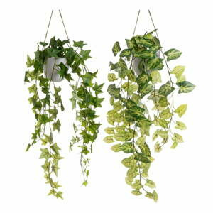 Umělé rostliny v sadě 2 ks (výška 55 cm) – Casa Selección