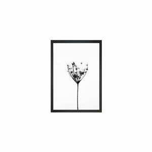 Obraz 23x28 cm Misty Splendor – Vavien Artwork