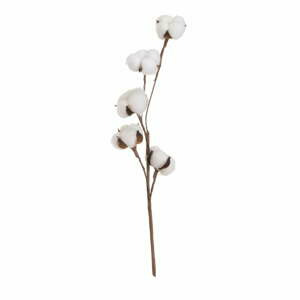 Sušená rostlina (výška 55 cm) Cotton – Casa Selección