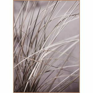 Obraz 50x70 cm Mellow Grasses 1 – Malerifabrikken
