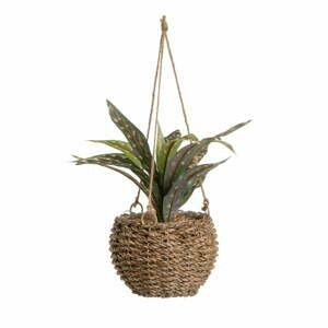 Umělá rostlina (výška 25 cm) – Casa Selección