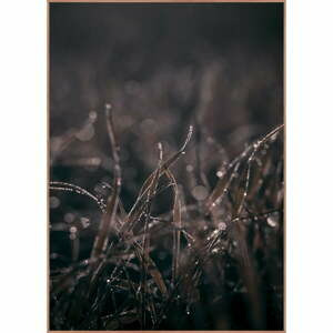 Obraz 50x70 cm Mellow Grasses 5 – Malerifabrikken
