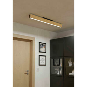 Eglo STROPNÍ SVÍTIDLO, 123/8/11 cm