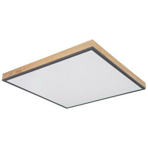 Globo LED PANEL, 59/59/6,5 cm