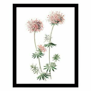 Nástenný obraz na plátne v čiernom ráme Tablo Center Natura, 29 × 24 cm