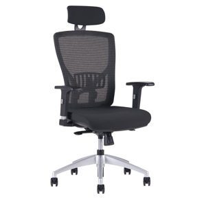 Kancelářská ergonomická židle HALIA MESH SP – s podhlavníkem, více barev Černá 2628