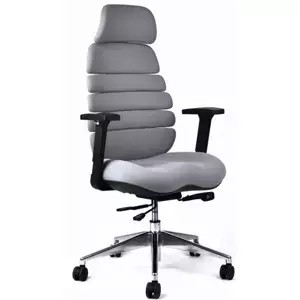 Kancelářská ergonomická židle SPINE s podhlavníkem — látka, nosnost 130 kg, více barev Šedá