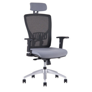 Kancelářská ergonomická židle HALIA MESH SP – s podhlavníkem, více barev Šedá 2625