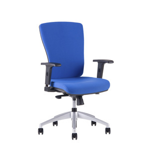 Kancelářská ergonomická židle HALIA BP – bez podhlavníku, více barev Modrá 2621