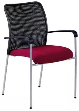 Office Pro Jednací židle - TRITON NET