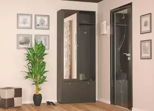 Casarredo Předsíňová stěna PALERMO wenge tmavý