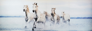 Obraz na plátně Stádo koní, 150x50 cm