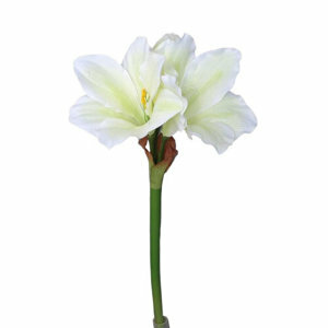 Umělá Amarylis bílozelená, 52 cm