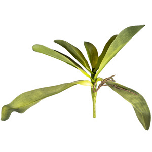 Umělý List orchideje s kořínky, 30 cm