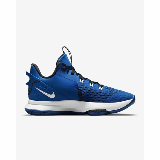 Nike Lebron Witness V M CQ9380-400 -