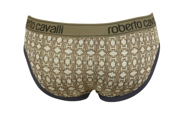Pánské slipy 2704 Roberto Cavalli - S - hnědo-šedá