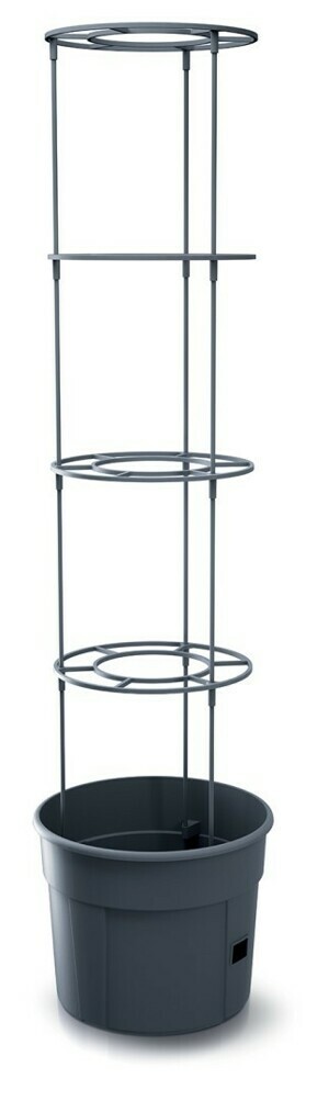 Prosperplast Květináč na pěstování rajčat GROWER antracit, varianta 29,5 cm