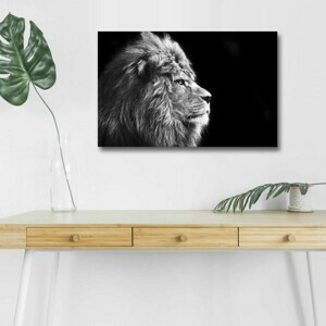 Wallity Obraz s LED osvětlením ČERNOBÍLÝ LEV 58 45 x 70 cm