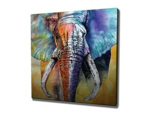 Wallity Obraz na plátně Elephant ethno KC306 50x70 cm