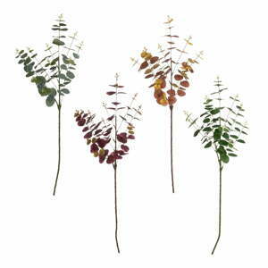 Umělý eukalyptus 4 ks (výška 85 cm) – Casa Selección