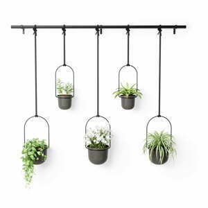Plastové obaly na květináče v sadě 5 ks na bylinky/závěsné ø 7,5 cm Triflora – Umbra