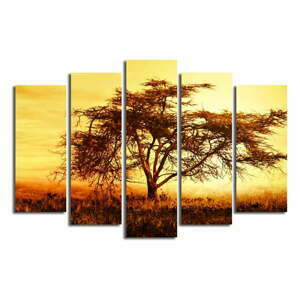 Vícedílný obraz Big Tree, 105 x 70 cm