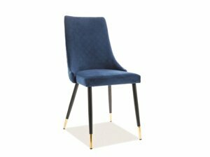 Jídelní židle Praxis, modrá